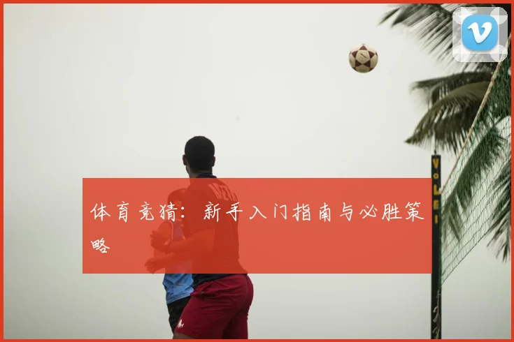 体育竞猜：新手入门指南与必胜策略